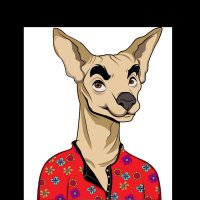 Xoloitzcuintli Gang (@xolo_cryptodogs) 's Twitter Profile