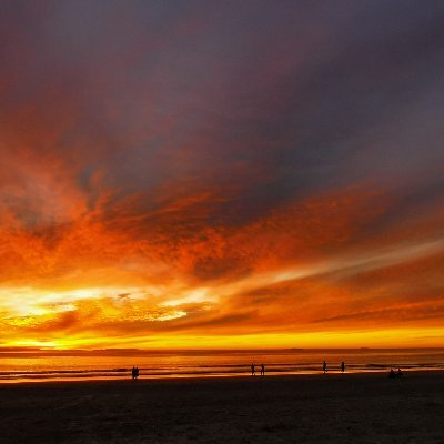 simonzw56's profile picture. You better believe it