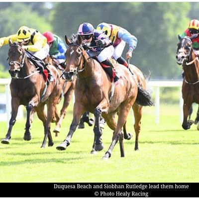 leesmythracing's profile picture. I'm a Racehorse Trainer based in County Down, Northern Ireland.. always in search of the next winner..