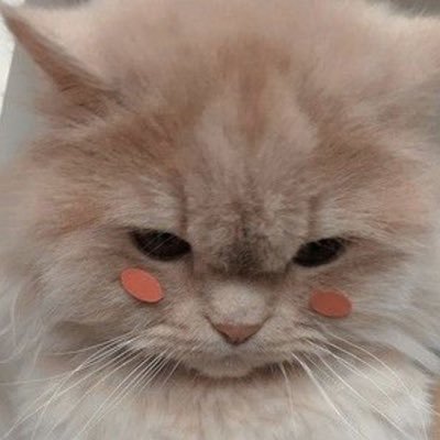 runnarutorun's profile picture. 
