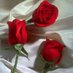 يحيى (@gh29127075) Twitter profile photo يحيى (@gh29127075) Twitter profile photo