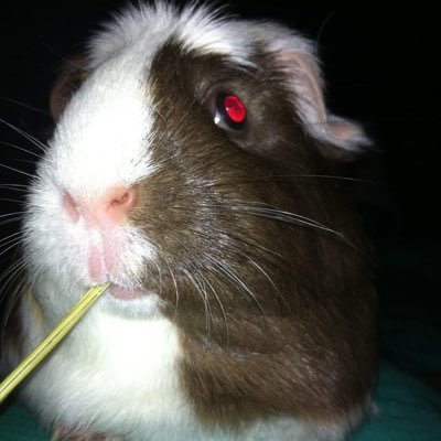 cport8's profile picture. 