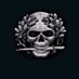 Sansepolcrismo Profile picture