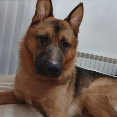 mejanera's profile picture. Viviendo y dejando vivir