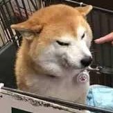 neaammmm's profile picture. 