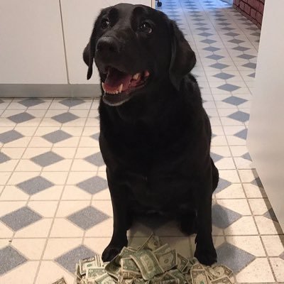 Fun loving doggo looking to make you some cash. Bookies hate me and my treatos. 2022 record: 2-2, -.2U tips: $HGP171