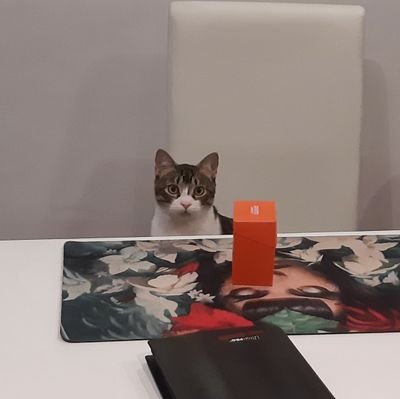 Realización de Proyectos Audiovisuales.
MTG, cEDH, Modern.