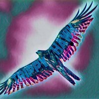 Trippy Hawk (@firehawknationf) 's Twitter Profile
