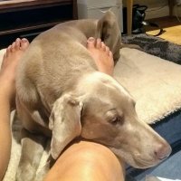 GillThamesider ๐ ๐ช๐บ AnimalAdvocate ๐๐บ๐ฆ (@gillthamesider3) 's Twitter Profile Photo GillThamesider ๐ ๐ช๐บ AnimalAdvocate ๐๐บ๐ฆ (@gillthamesider3) 's Twitter Profile Photo