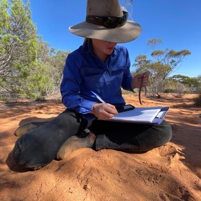 PhD Student @UOW studying reptile responses to the fire regime