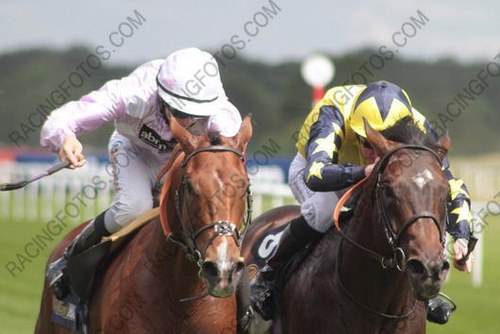 daveprobert88's profile picture. jockey