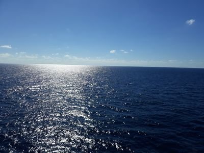 FluffMysterious's profile picture. (he,him)•Bi• MINORS DNI🔞anime lover