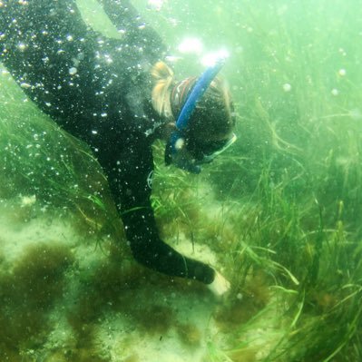 cecececewot's profile picture. :)