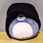 Ca1m_Racco0n's profile picture. screaming and running connoisseur uwu (also big idiot)