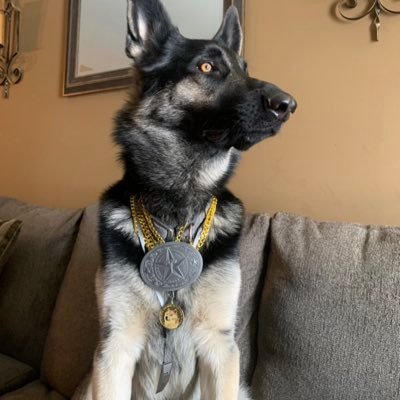 emc2pi31484's profile picture. 