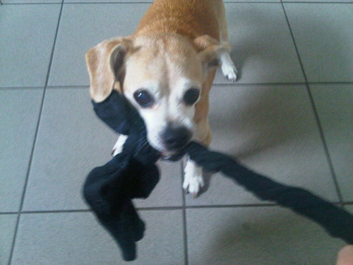 amys2112's profile picture. BrightSpark :)