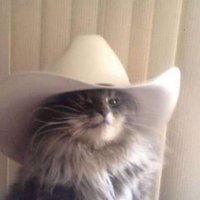 Ж≈355/113 (@sonicmitsu) 's Twitter Profile