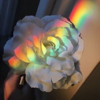 Ralphsh (@rurpshhhh) 's Twitter Profile