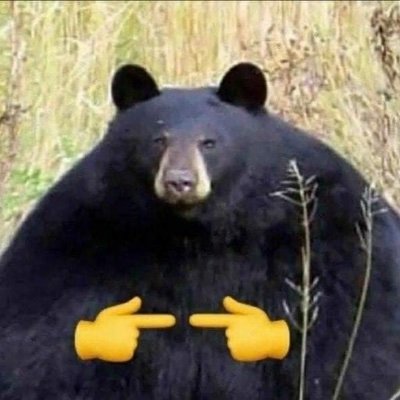 human_v3's profile picture. 