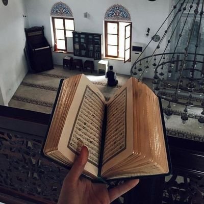 اللهم صل وسلم على نبينا محمد♥️.
تفسير بالسناب
⤵️
سناب : mfsrhr9