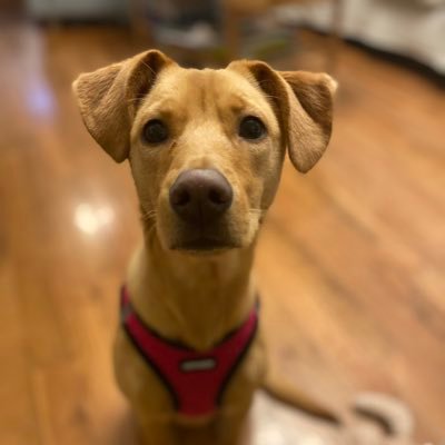 njprodmngr's profile picture. 