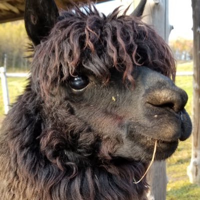 ahhho_0902's profile picture. ホラー映画万歳！ ゾンビ、スプラッター、グロ大好物w 遊園地、水族館、動物園、絶叫マシン、ドライブ、マリンスポーツ、ウィンタースポーツ、漫画、スイーツ、カフェ、食べ歩き、観光大好きV(^_^)V