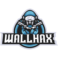 WallHax(@hax_wall) 's Twitter Profile Photo