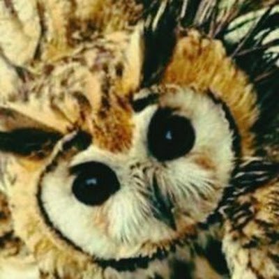 Love music.
storytelling. Running owl life. New music every 3 months.
https://t.co/akdVnPFLxj
https://t.co/f5ihnXUQGV
