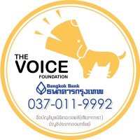 thevoicefoundation (@thevoicefounda1) 's Twitter Profile