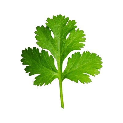 coreyander's profile picture. 