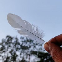 iMANOJp (@manojpichhode) 's Twitter Profile