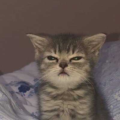 asdfasd41534849's profile picture. 