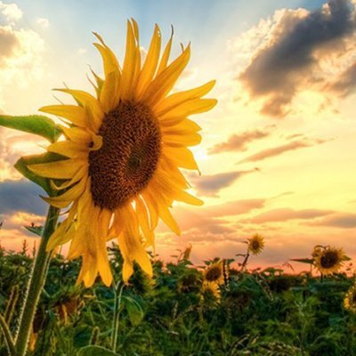 Passion is energy. Feel the power that comes from focusing on what excites you.