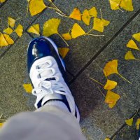 阿杰 (@slaevmdog) Twitter profile photo