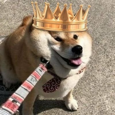 je suis de nouveau le roi DoggoMignon, le bras droit de la justice. rejoignez-nous et nous vous protégeront(Samouraï solitaire à temps partiel🇯🇵)