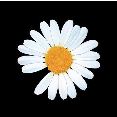 SweetyXciv's profile picture. ชอบหลายคนโดยเฉพาะ NENE, BAMBAM, AHEYE และวงของพวกเขา คีพเมนแต่รักวงเอ็นดูทุกคน ไม่ชอบม่าจ้าา (มีแอคหลายอันบางครั้งแอคนี้เลยร้างงบ้าง)