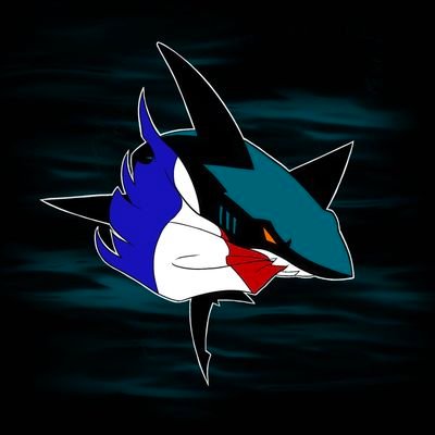 Compte francophone qui relaie l'actualité des @SanJoseSharks - Baby Sharks doo doo doo doo doo doo 🦈