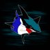 San Jose Sharks FR (@sjsharksfr) Twitter profile photo San Jose Sharks FR (@sjsharksfr) Twitter profile photo