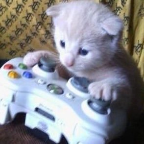 SACCHAROPHOBE's profile picture. 20 years old browsing twt for art + music + funny tweets