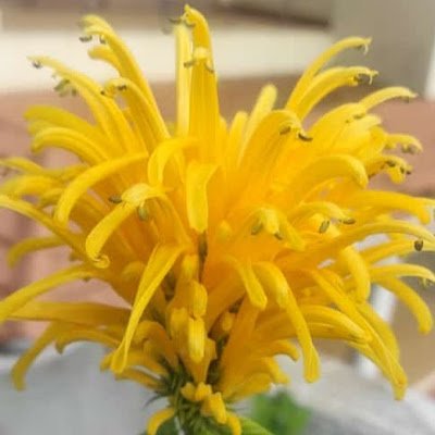 BoopathyKings's profile picture. 