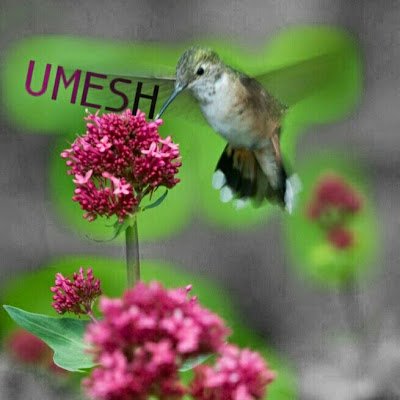 uniquetext6's profile picture. 