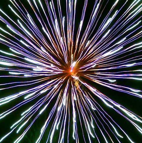 WishCycle's profile picture. 