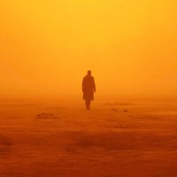 Sinni (@sinnigg) 's Twitter Profile Photo