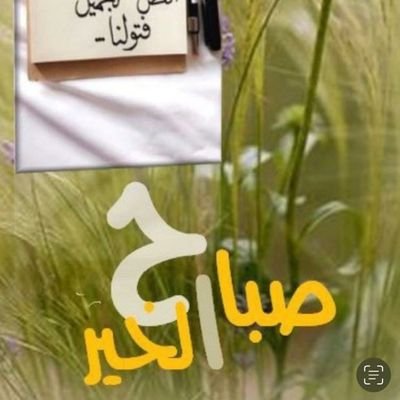 mustaphanaaman5's profile picture. اللهم بالاً مطمئناً وقلباً مرتاحآ