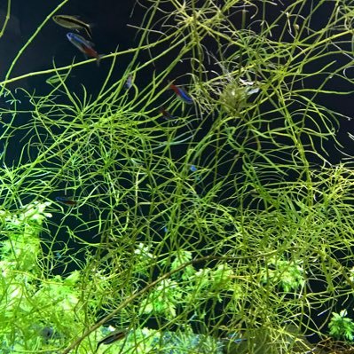 5UCDHym1axSvXAT's profile picture. 熱海