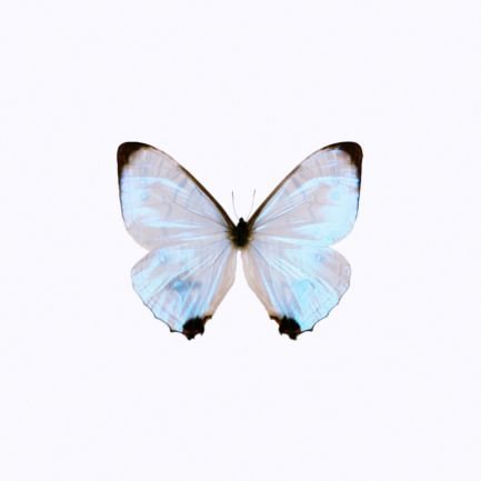 000000_blk's profile picture. 相互のみ ツイプロ読んでね↓