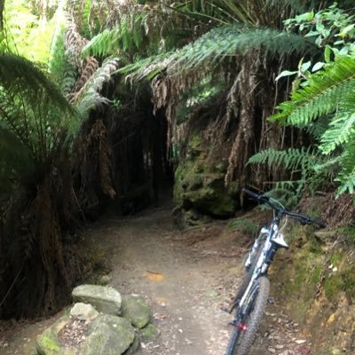 GM_025_'s profile picture. Nothing