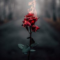 P-O-D (@pod46388095) 's Twitter Profile