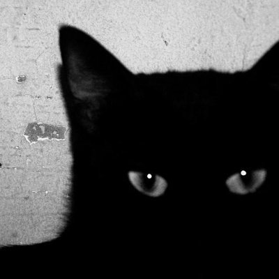 fieryrebirth4's profile picture. #LIFEISGOOD