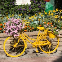 Renee van Otterdijk (@otterdijkrenee) 's Twitter Profile